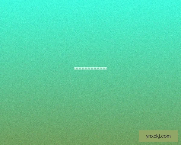 野德宏的思想与实践：探索创新与传统的融合之道